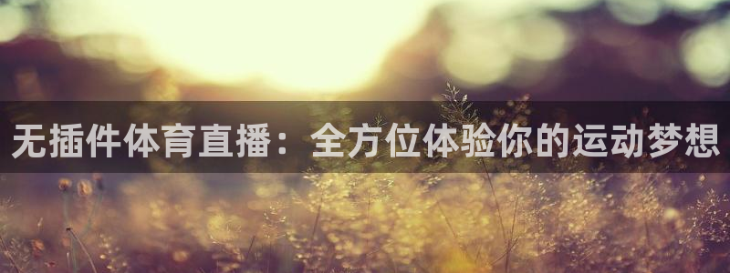 新球体育直播：无插件体育直播：全方位体验你的运动梦想