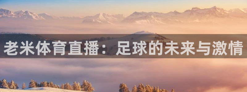 新球足球直播：老米体育直播：足球的未来与激情