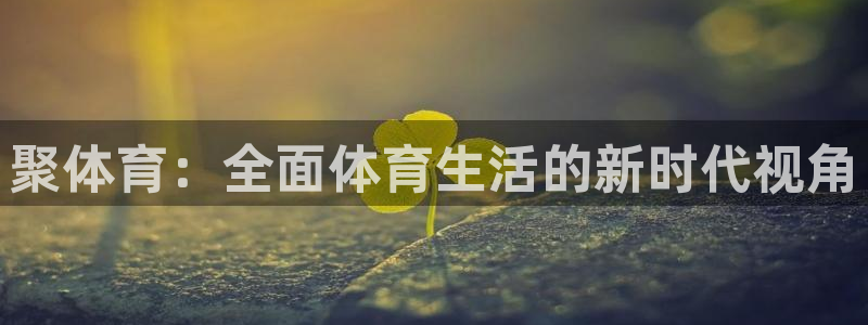新球直播：聚体育：全面体育生活的新时代视角