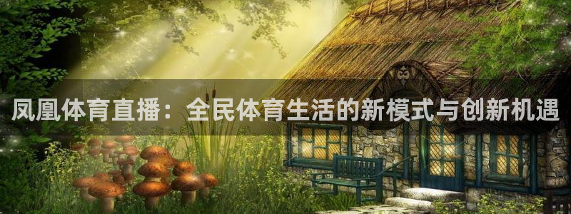 新球体育赛事：凤凰体育直播：全民体育生活的新模式与创新机遇