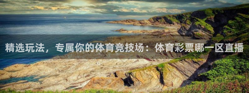 新球足球：精选玩法，专属你的体育竞技场：体育彩票哪一区直播