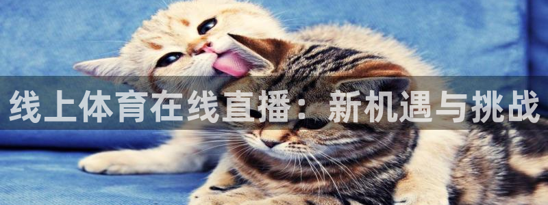 新球体育直播：线上体育在线直播：新机遇与挑战