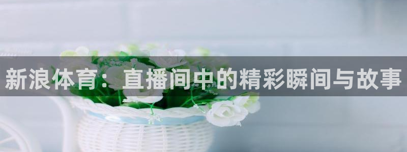 新球足球直播：新浪体育：直播间中的精彩瞬间与故事