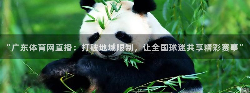 新球：“广东体育网直播：打破地域限制，让全国球迷共享精彩赛事”