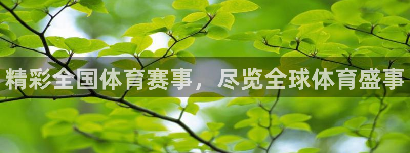 新球赛直播