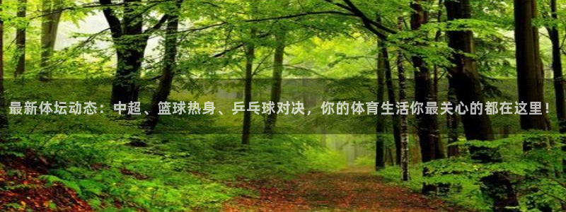 新球体育比分网