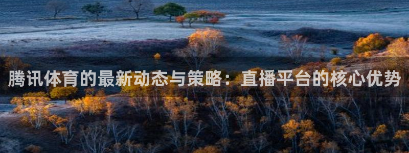 新球网直播