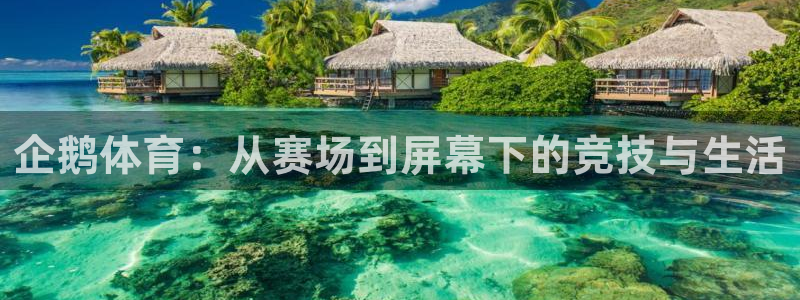新球体育完整版