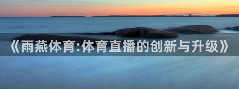 新球体育比分网