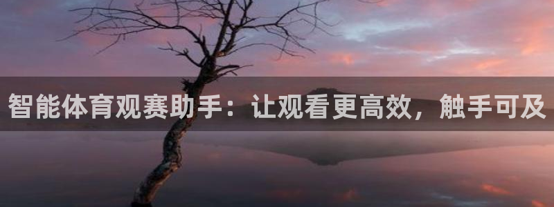 新球：智能体育观赛助手：让观看更高效，触手可及