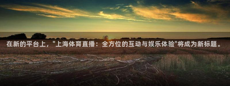 新球体育足球官网：在新的平台上，\